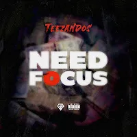 Teezandos — Need Focus — обложка